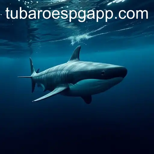 Exclusivo: A Fascinante Cultura dos Tubarões PG